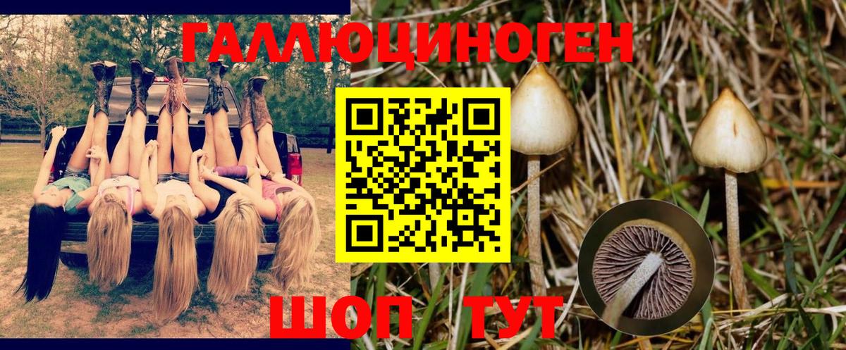 Партизанск  Псилоцибиновые грибы Magic Shrooms  Галлюциногенные грибы Psilocybine cubensis  Вход с VPN 